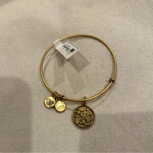 Alex and Ani Disney Bracelet